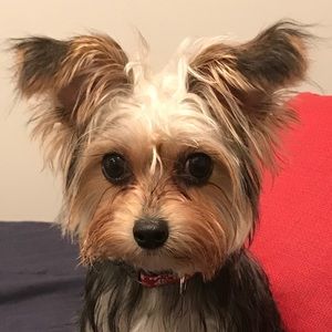 Meet your Posher, Bayler